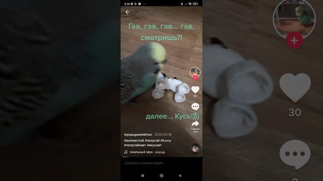 Screenrecorder-2026-04-03-05-31-40-579.mp4