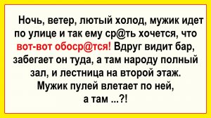 Мужик идет по улице и захотелось ему... Смешные, Остренькие, Жизненные Анекдоты! Юмор! Смех! Позитив