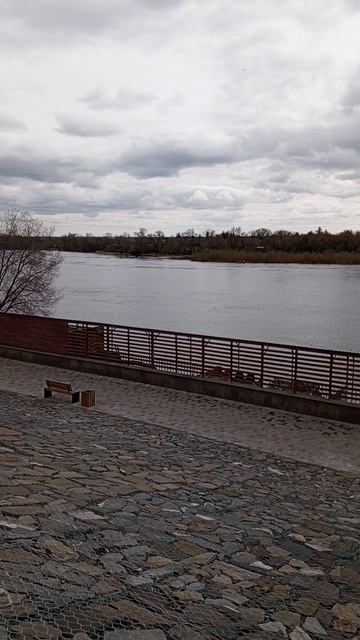 1000184217.mp4 апрель