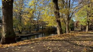 " В тихом омуте." История из жизни