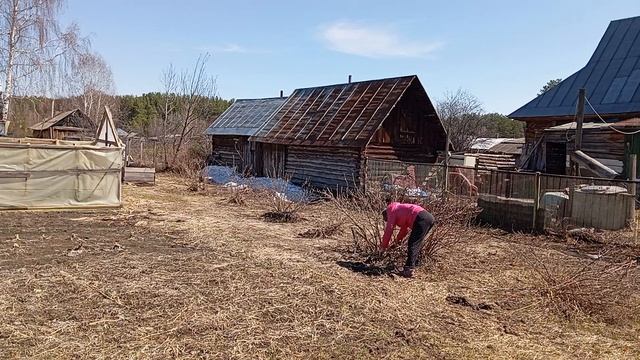 Начало весенних работ😂🥳🍀🌿