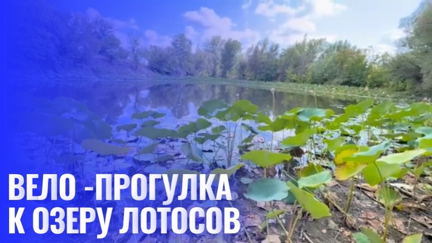 Велопрогулка. От ерика Верблюд до Волги и озера Лотосов