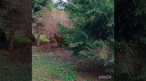 #Глазная клиника#хроника одного дня