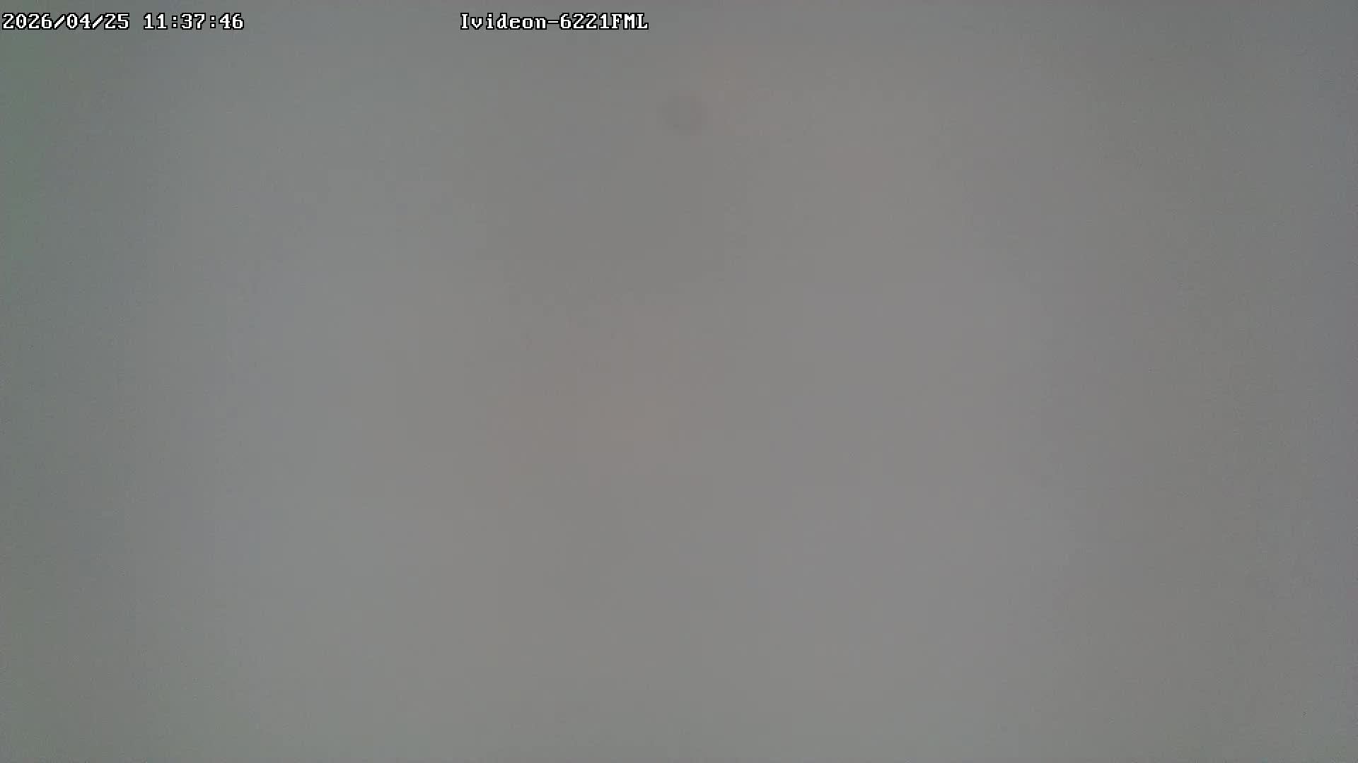 LIVE: channel43489494