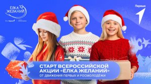 Президент России открыл Всероссийскую акцию «Ёлка желаний»