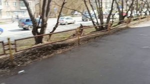 НАШЕ УТРО, ИДЁМ В ГОСТИ /ОБЕД В КАФЕ.