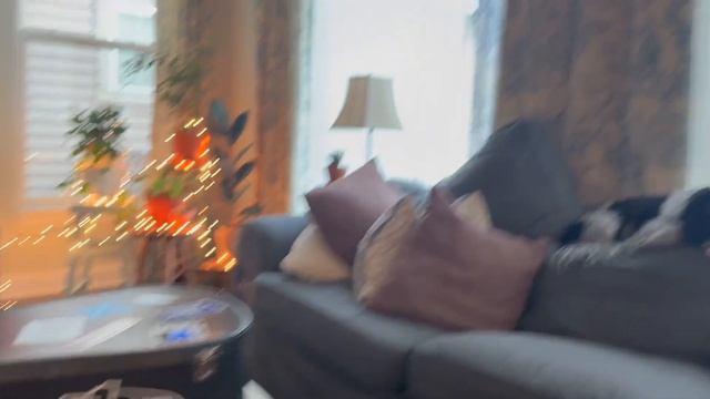 Learn English Naturally At My House (Comprehensible Input)