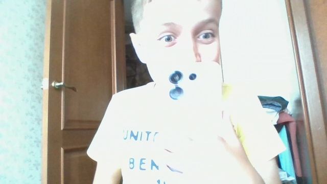 Телефон рогит