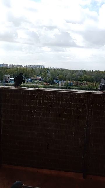 ИИСУС❤️ ХРИСТОС❤️ - НАША🙏 СУББОТА💞 И ПОКОЙ🙏 !!!