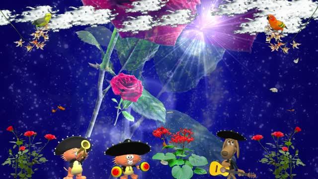 Розы для любимой!!!