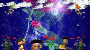 Розы для любимой!!!