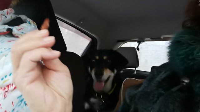 С Гретой у Наташи в машине. Развлекаю. 2024г