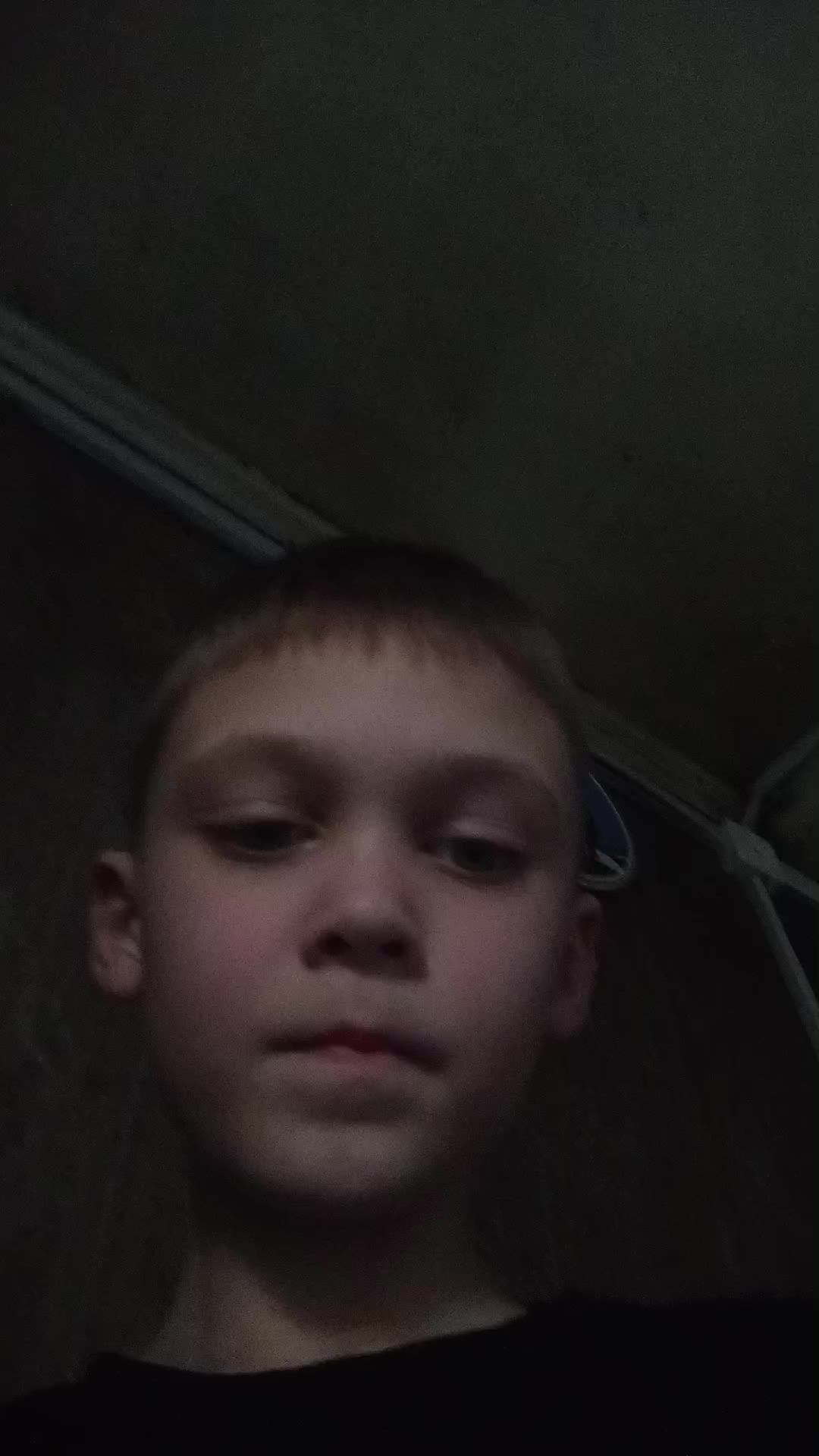 Стим с шенов кетти