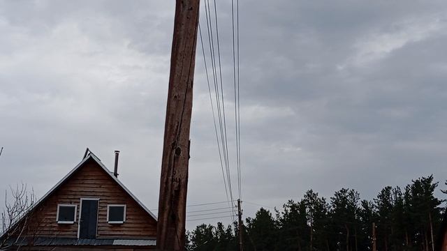 Весна🍀🌿💐