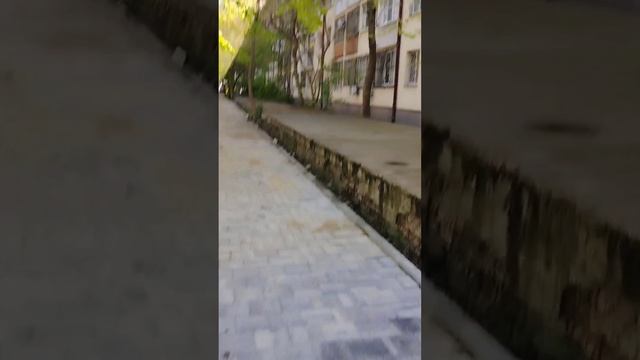 Весенняя пробежка.mp4