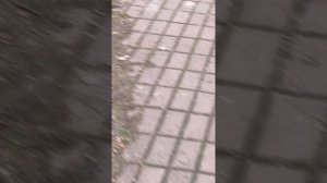 обзор на отель улиткино
