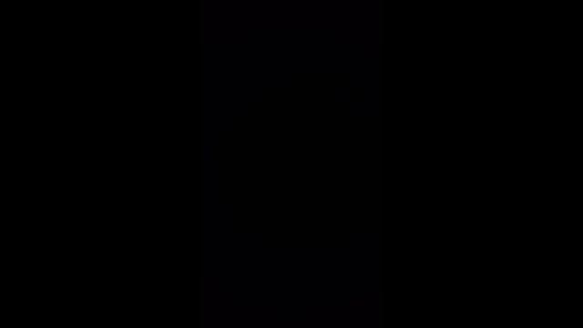 13 ноября 2024 г.