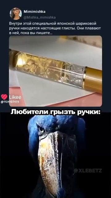 я больше не буду грызть ручки...