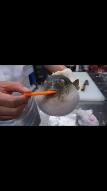 Лучше посмотрите чё моя рыба умеет