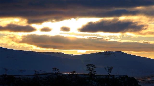 Окситоцин или таблетка от старости