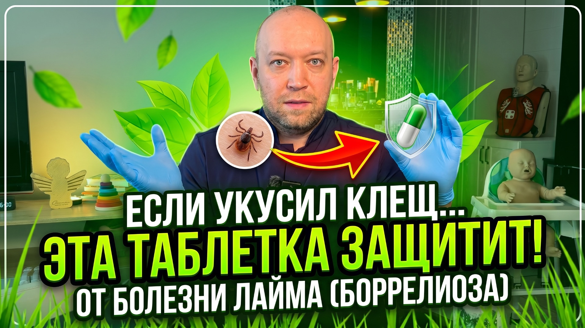 Укусил клещ: экстренная профилактика болезни Лайма (боррелиоз)