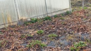 ты меня ,работушка,не бойся,я тебя не трону😄