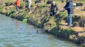 Поимки с водоема