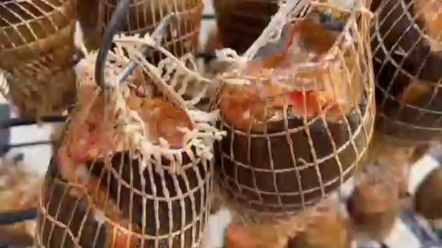 Скумбрия с кетой горячего копчения