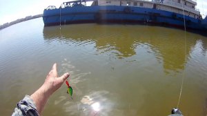 Открытие сезона. Спиннинг с берега. Затон Лампочка. г. Омск 22ч. 04м. 2026 год. №-3