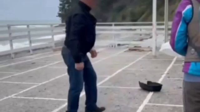 Пьяный дебошир напал на волонтеров, вывозивших пострадавших от мазута птиц 

В Туапсе