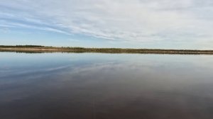 Это было осенью 2024