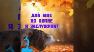 я: 😭😭😭😭😭🙏😭🙏😭🙏😭🙏😭🙏😭🙏😭😭😭🙏😭🙏😭🙏😭🙏😭🙏😭🙏😭🙏😭🙏😭🙏😭🙏😭🙏😭🙏😭🙏😭🙏😭🙏