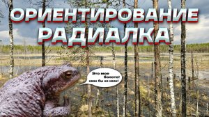 Ориентирование. Радиалка. Просто ломи вперед- в болото!