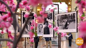 "Мой лес". Выставка фотографа Льва Мелихова в ГУМе. Доброе утро. Суббота. Фрагмент выпуска от 25....