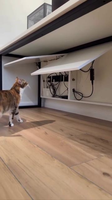 Спрятанные провода 👍

Теперь никакие провода и роутеры не будут портить внешний вид помещения!