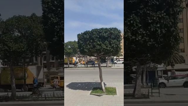 Мечтаю о Тунисе 🇹🇳😃 а пока, это опять воспоминания...