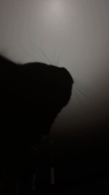 и снова он😍