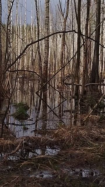 Руна Ингус —◇, Руна Отал — ᛟ, Руна Гебо — Х