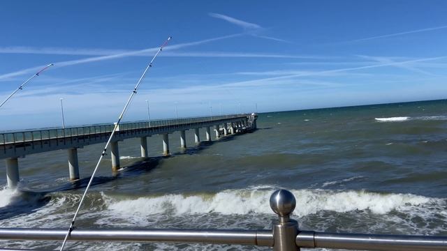 Как ловят камбалу с променада в Зеленоградске