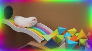 Большое приключение маленького хомячка прохождение лабиринта веселья! серия 1