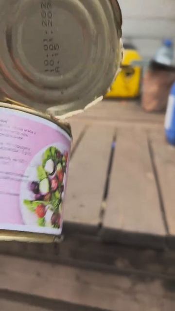 Свиньям и так сойдёт