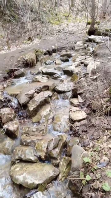 Ручей в парке Оленьи ручьи.