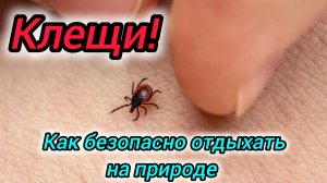 Осторожно, клещ! Как безопасно отдыхать на природе
