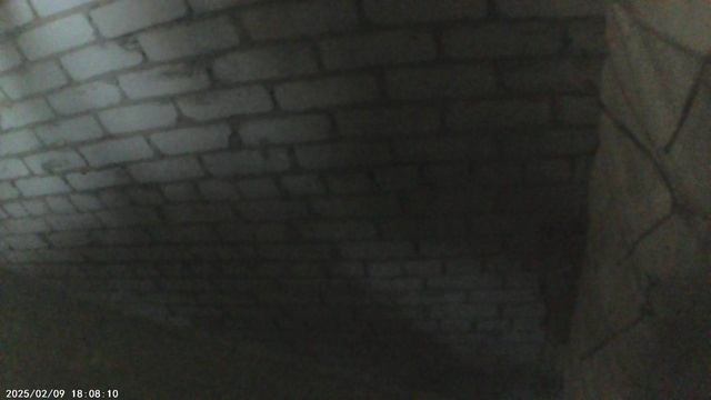 Фигурный трезвон к Евангелию на Божественной Литургии 25 апреля 2026