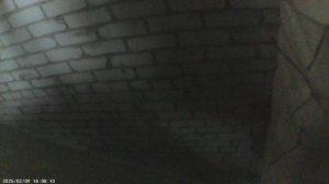 Фигурный трезвон к Евангелию на Божественной Литургии 25 апреля 2026