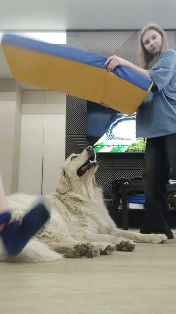 СЕРИАЛ ГРУСНАЯ ЖИЗНЬ СОБАЧИНИ!!!! ОЧЕНЬ ГРУСТНО ；︵； КОГДА ПРОДОЛЖЕНИЕ???!!!!