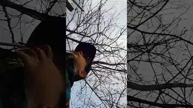 сериал про бабку грени