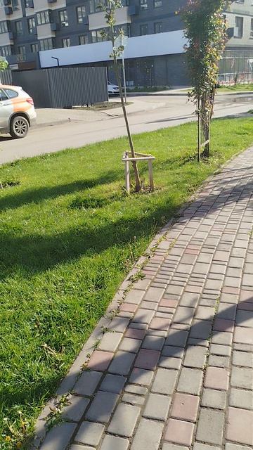 Утро в Краснодаре