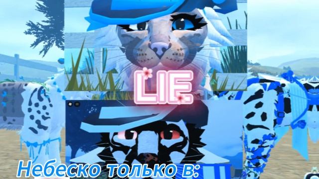 КОЛЛАБ СО ШКУРОЙ ЫЫЫЫЫЫЫЫЫ