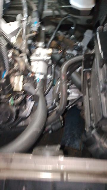 Выжимной цилиндр сцепления на Весте NG - поросенок